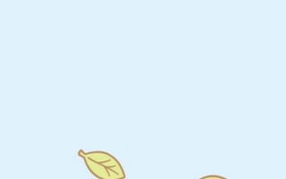 Картинка каваи, милый, Cinnamoroll, щенок, собака, белый, маленький, животное, лист