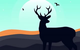 Картинка олень, животные, животное, природа, вечер, закат, заход, солнце, арт, рисунок