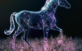 Картинка лошадь, конь, лошади, животные, луг, ночь, темнота, темный, цветок, цветущий, свечение