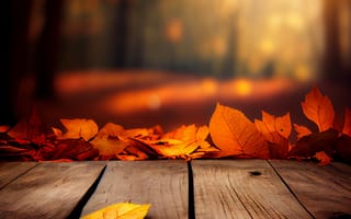 Картинка осень, осенние, время года, сезоны, сезонные, лист, листья, листва, лес, деревья, дерево, природа, парк