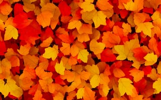 Картинка осень, осенние, время года, сезоны, сезонные, кленовый лист, лист, клен, листья, листва, бесшовный
