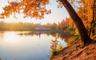 Картинка осень, осенние, время года, сезоны, сезонные, озеро, пруд, вода, парк, природа, лес, деревья, дерево, утро, утренний, рассвет, восход