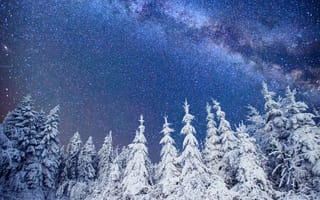 Картинка Карпаты, Украина, гора, зима, зимние, время года, сезоны, сезонные, пейзаж, природа, лес, деревья, дерево, ель, елка, ночь, звезды, звезда, астрофотография, Млечный Путь