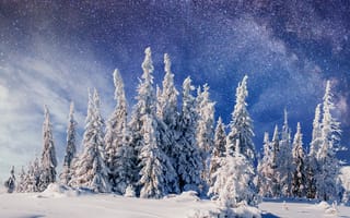 Картинка Карпаты, Украина, гора, зима, зимние, время года, сезоны, сезонные, пейзаж, природа, снег, лес, деревья, дерево, ель, елка, ночь, звезды, звезда, астрофотография