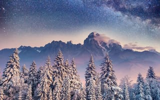 Картинка Карпаты, Украина, гора, зима, зимние, время года, сезоны, сезонные, пейзаж, природа, снег, лес, деревья, дерево, ель, елка, ночь, звезды, звезда, Млечный Путь