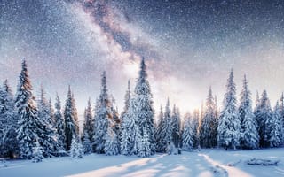 Картинка Карпаты, Украина, гора, зима, зимние, время года, сезоны, сезонные, пейзаж, природа, лес, деревья, дерево, ель, елка, снег, ночь, звезды, звезда, Млечный Путь