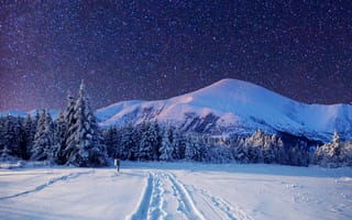 Картинка зима, зимние, время года, сезоны, сезонные, Карпаты, Украина, Европа, гора, лес, деревья, дерево, природа, ель, елка, поле, пейзаж, снег, ночь, звезды, звезда