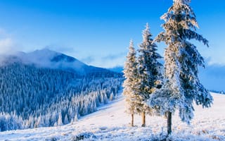 Картинка зима, зимние, время года, сезоны, сезонные, гора, лес, деревья, дерево, природа, ель, елка, снег, иней, изморозь, белый, пейзаж