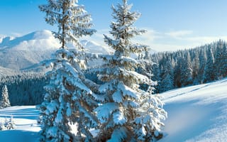 Картинка зима, зимние, время года, сезоны, сезонные, гора, лес, деревья, дерево, природа, ель, елка, снег, пейзаж