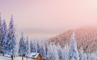 Картинка зима, зимние, время года, сезоны, сезонные, белый, пейзаж, природа, гора, лес, деревья, дерево, ель, елка, дом, снег, иней, изморозь