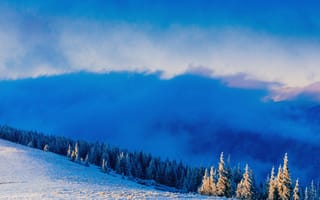 Картинка зима, зимние, время года, сезоны, сезонные, лес, деревья, дерево, природа, ель, елка, гора, снег, облака, туча, облако, тучи, небо