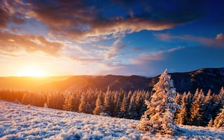Картинка зима, зимние, время года, сезоны, сезонные, Карпаты, Украина, Европа, лес, деревья, дерево, природа, гора, ель, елка, пейзаж, вечер, закат, заход, облака, туча, облако, тучи, небо