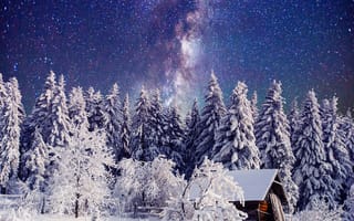 Картинка зима, зимние, время года, сезоны, сезонные, природа, снег, иней, изморозь, белый, лес, деревья, дерево, ель, елка, дом, ночь, астрофотография, звезда, звезды, Млечный Путь