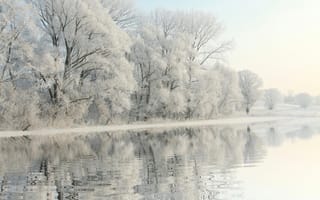 Картинка зима, зимние, время года, сезоны, сезонные, лес, деревья, дерево, природа, река, отражение, иней, изморозь, белый, пейзаж