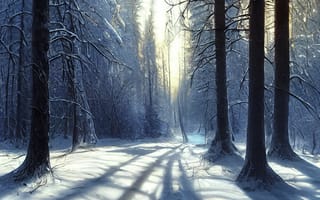 Картинка зима, зимние, время года, сезоны, сезонные, лес, деревья, дерево, природа, снег, утро, утренний
