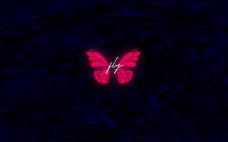 Картинка бабочка, флай, арт, обои, красный, темный, графика