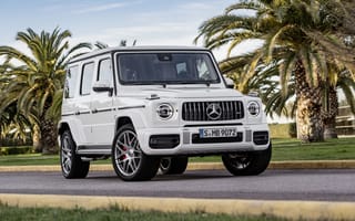 Картинка автомобиль, Мерседес, G-Class, белый, пейзаж, пальмы, дорога