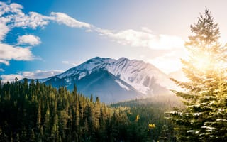 Картинка горы, природа, лес, снег, небо, пейзаж, солнце