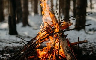 Картинка огонь, лес, зима, костер, природа, пейзаж, снег