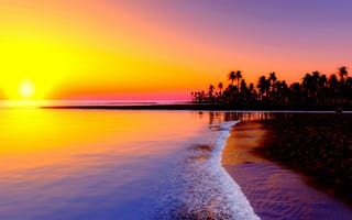 Картинка закат, море, пальмы, пейзаж, природа, пляж, гладкая вода