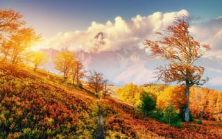 Картинка природа, осень, горы, пейзаж, деревья, закат, путь