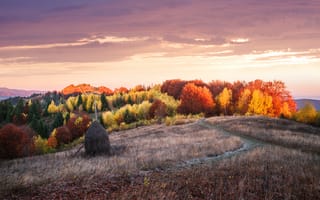 Картинка осень, пейзаж, природа, горы, закат, деревья, трава