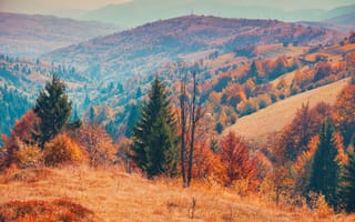Картинка осень, пейзаж, горы, природа, деревья, цвета, ландшафт