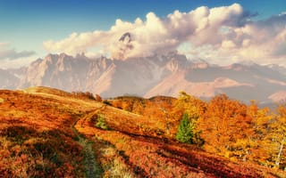 Картинка горы, осень, пейзаж, природа, деревья, небо, тропа