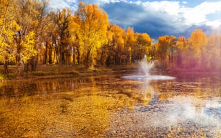 Картинка осень, пейзаж, природа, водоем, деревья, фонтан, золотые листья, отражение, небо, спокойствие
