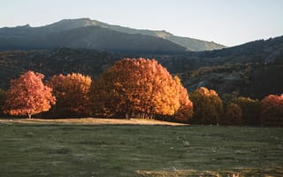 Картинка осень, пейзаж, деревья, горы, природа, цвета, солнце