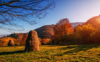 Картинка осень, пейзаж, природа, горы, деревья, солнечный свет, трава