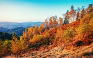 Картинка осень, пейзаж, природа, деревья, горы, небо, цвета
