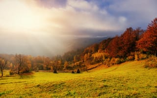 Картинка осень, пейзаж, природа, солнце, деревья, горы, небо