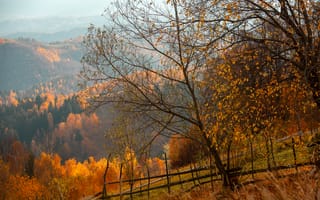 Картинка осень, пейзаж, деревья, горы, природа, цвета, фотография