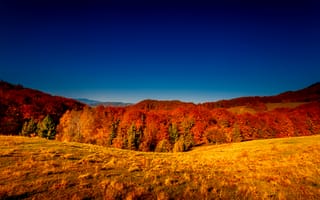 Картинка осень, пейзаж, природа, деревья, небо, цвета, горы