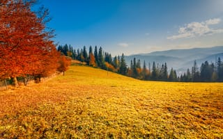 Картинка осень, пейзаж, природа, деревья, горы, небо, цвета