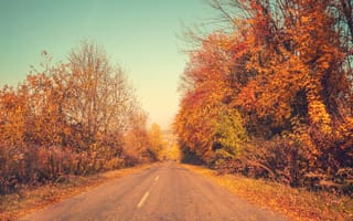 Картинка осень, дорога, пейзаж, природа, деревья, листья, пейзажный фон