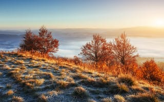 Картинка пейзаж, осень, горы, солнце, деревья, туман, природа, закат, трава, красота