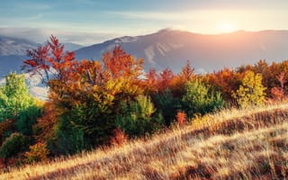 Картинка природа, горы, осень, пейзаж, закат, деревья, цвета