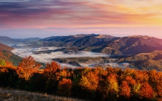 Картинка пейзаж, горы, осень, природа, закат, лес, туман