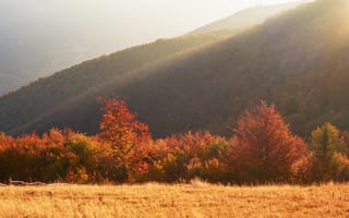 Картинка осень, пейзаж, горы, природа, деревья, закат, мягкий свет