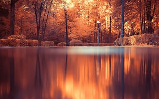 Картинка осень, пейзаж, природа, водоем, деревья, отражение, парк