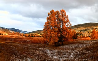 Картинка осень, пейзаж, деревья, природа, горы, цвета, небо