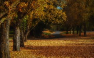 Картинка осень, пейзаж, деревья, дорога, листья, природа, парк