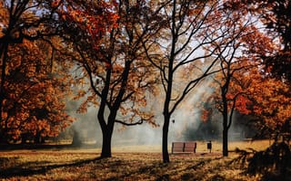 Картинка осень, пейзаж, деревья, природа, дым, солнце, парк