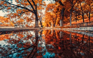Картинка осень, пейзаж, деревья, отражение, природа, парк, цвета