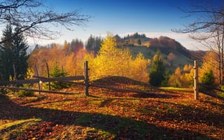Картинка осень, пейзаж, природа, деревья, горы, закат, цвета