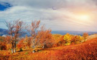 Картинка осень, пейзаж, деревья, природа, горы, небо, цвета
