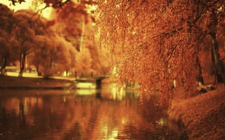 Картинка осень, пейзаж, природа, деревья, река, золотистый, спокойствие