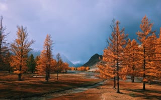 Картинка осень, пейзаж, деревья, горы, природа, небо, ландшафт